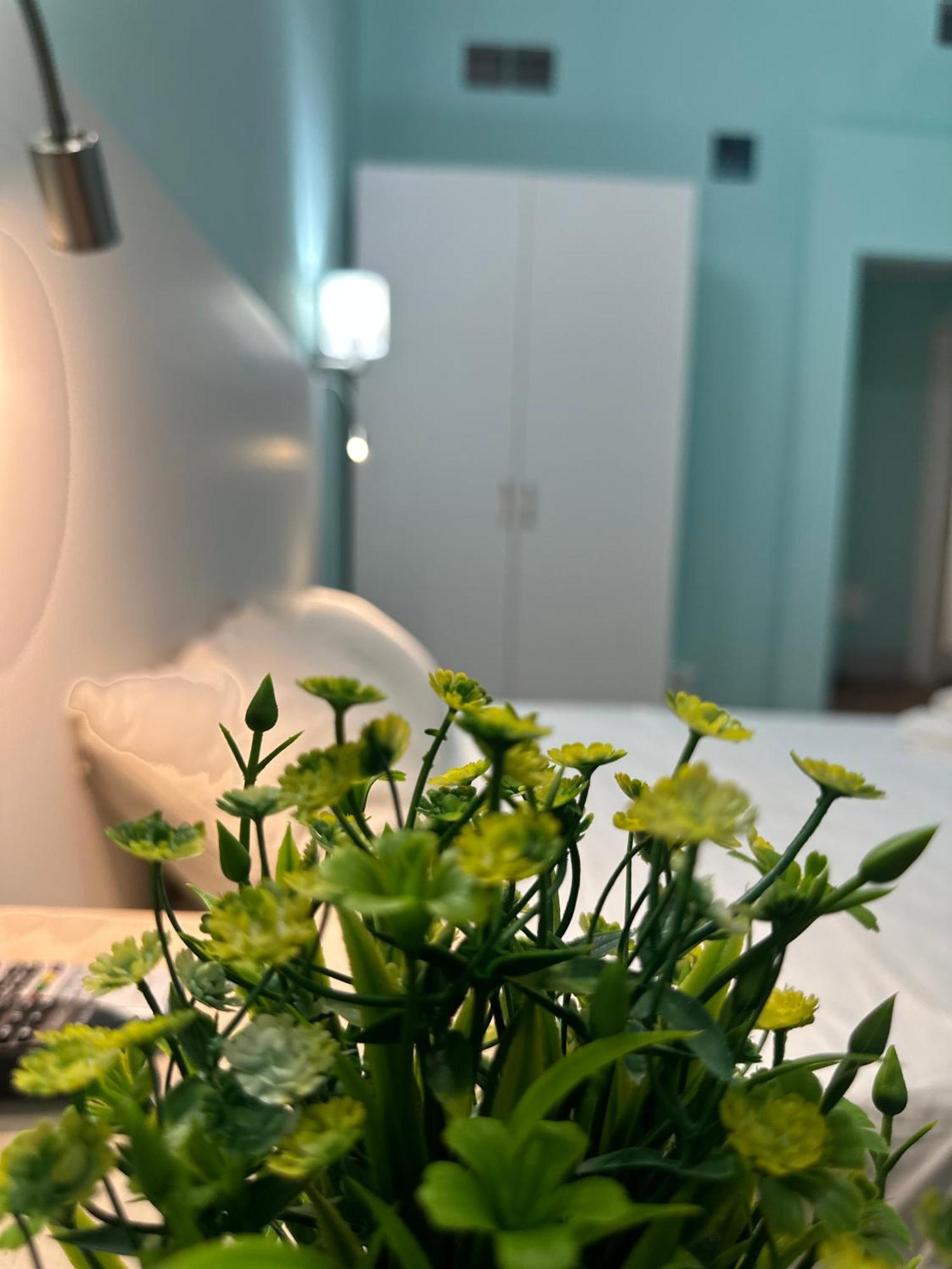 Bed and breakfast - Residenza D'epoca Piazza Cairoli *